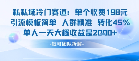 私域冷门赛道单个收费198米引流模板简单人群精准 45%的转化率单人一天大概收益多张-U9联盟