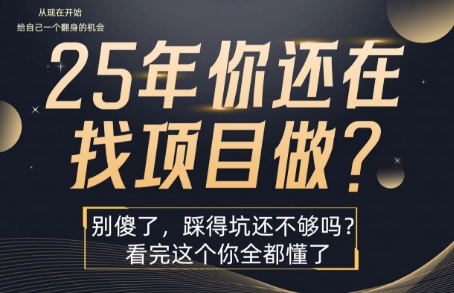 25年，你还在疯狂的找项目吗？别傻了，看完这个你都懂了【揭秘】-U9联盟