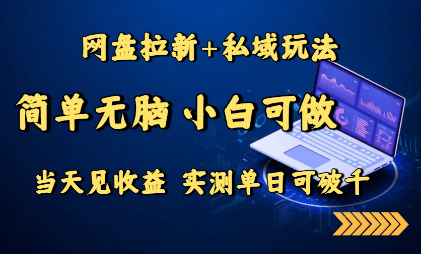 网盘拉新+私域玩法，简单无脑，小白可做，当天见收益，实测单日可破千-U9联盟