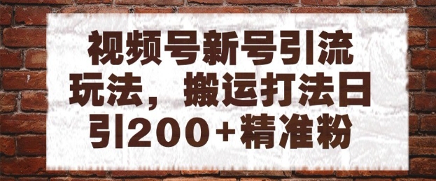 视频号新号引流玩法，搬运打法日引200+精准粉，可矩阵放大【揭秘】-U9联盟