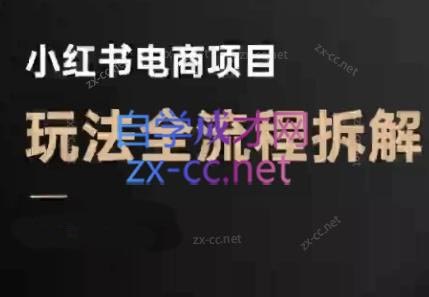 菲菲老师·小红书电商玩法(更新9月)-U9联盟