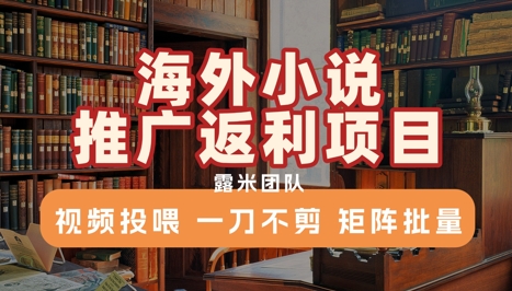 海外小说推广返利项目，视频投喂， 一刀不剪，矩阵批量-U9联盟