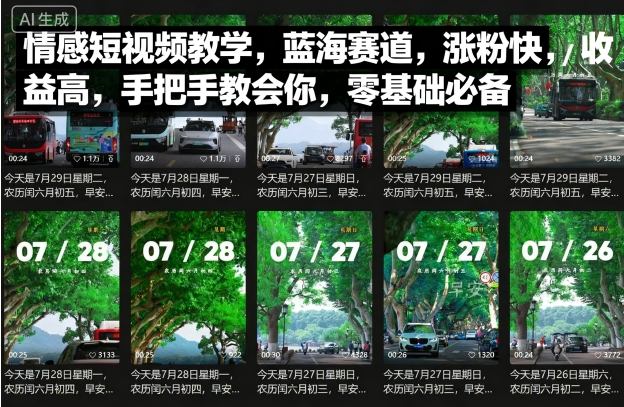 情感短视频教学，蓝海赛道，涨粉快，收益高，手把手教会你，零基础必备-U9联盟