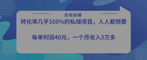 转化率最高的私域项目，每单利润40-50米，月入过1w-U9联盟