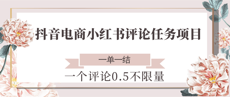 抖音电商小红书评论任务项目，一个评论0.5，一单一结 不限量-U9联盟