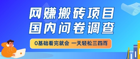 网创搬砖项目，国内问卷调查，小白轻松上手，一天三四张的也不难，干就完了【揭秘】-U9联盟