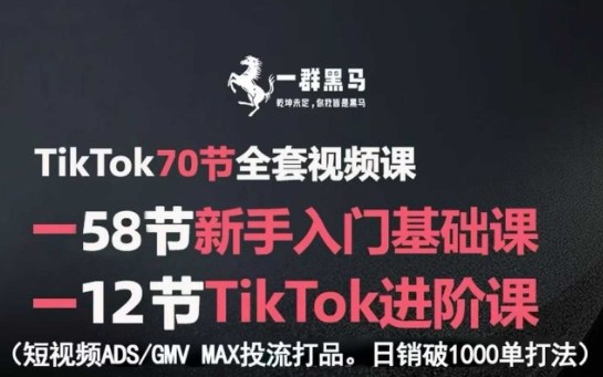 TikTok全套视频课，新手入门+进阶课，短视频ADS-GMV MAX投流打品，日销破1000单打法-U9联盟