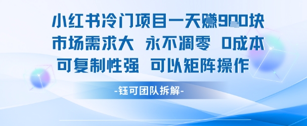 小红书冷门项目一天收益9张，市场需求大，0成本，可复制性强可以矩阵操作-U9联盟