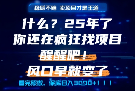 什么？25年你还在疯狂找项目做，醒醒吧，看完这些你全都懂了！【揭秘】-U9联盟