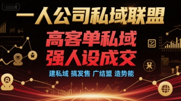 一人公司私域联盟，高客单私域，强人设成交，建私域 搞发售 广结盟 造势能-U9联盟