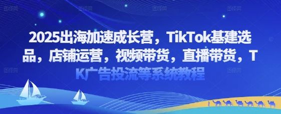 2025出海加速成长营，TikTok基建选品，店铺运营，视频带货，直播带货，TK广告投流等系统教程-U9联盟
