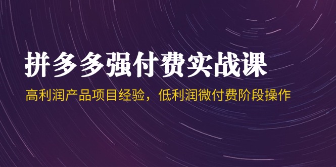 拼多多强付费实战课-44期，高利润产品项目经验，低利润微付费阶段操作-U9联盟