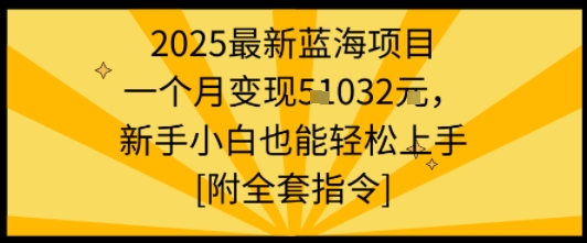 2025最新蓝海项目一个月变现1w+新手小白也能轻松上手【附全套指令】-U9联盟