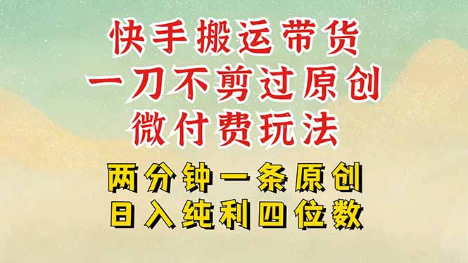 快手黑科技搬运带货，一刀不剪过原创，微付费投流玩法，轻松日入四位数…-U9联盟