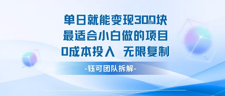 单日就能变现3张最适合小白做的项目0成本投入 无限复制-U9联盟