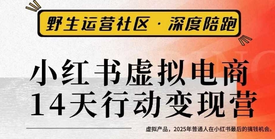 小红书虚拟电商14天变现训练营3.0，​虚拟产品，2025年普通人在小红书最后的搞钱机会-U9联盟