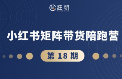 盗坤·抖音小红书视频号短视频带货与直播变现(11-18期)-U9联盟