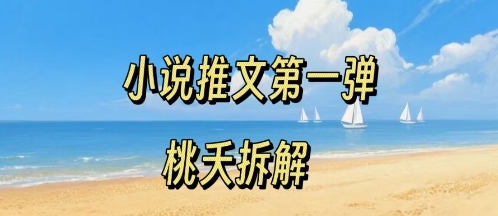 小说推文项目操作全流程第一弹，0粉就能做，门槛低非常适合新手-U9联盟