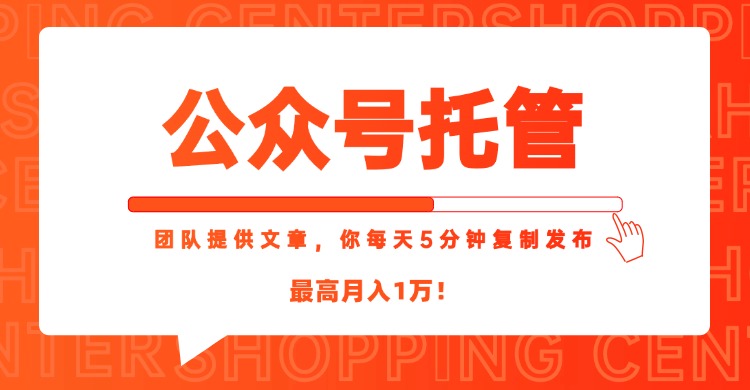 【公众号托管 】我提供文章，你每天５分钟复制发布，最高月入1W-U9联盟