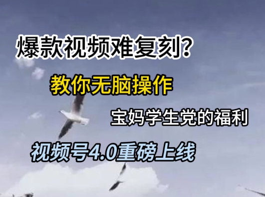 视频号4.0重磅上线，爆款视频难复刻？教你无脑操作宝妈学生党的福利【揭秘】-U9联盟
