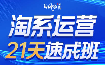 白凤电商·淘系运营21天速成班(更新6月)-U9联盟