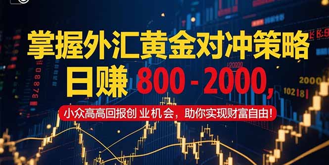 掌握外汇黄金对冲策略，日赚 800 – 2000，小众高回报创业机会，助你实…-U9联盟