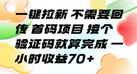 一键拉新 不需要回传 首码项目 接个验证码就算完成 一小时收益70+【揭秘】-U9联盟