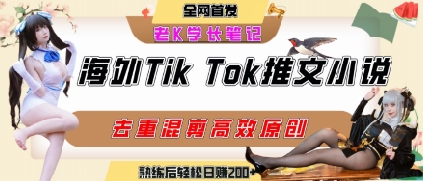 海外tiktok小说推文暴力项目，高停留率，高转化率，上手后一天搞顿饭钱不是问题-U9联盟
