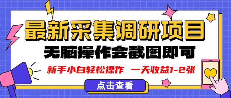 新版采集调研项目，截图上传即可，无脑操作，日收益1-2张-U9联盟