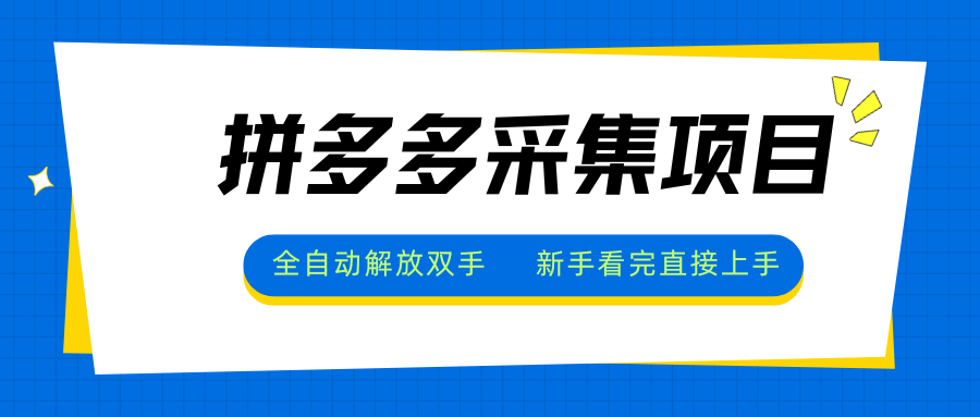 拼多多采集项目，全自动解放双手，单号日入30+-U9联盟
