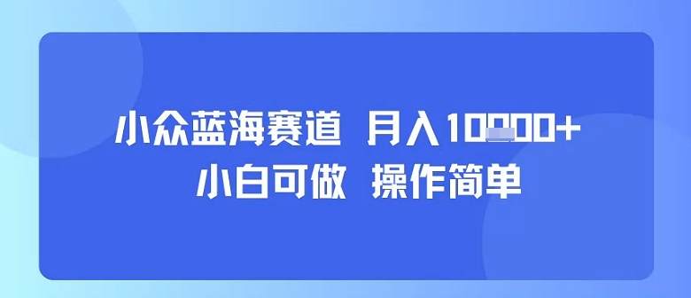 小众蓝海赛道，小白可做，操作简单，每天30分钟，月入1W+-U9联盟