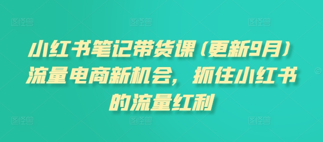 小红书笔记带货课(更新25年5月)流量电商新机会，抓住小红书的流量红利-U9联盟