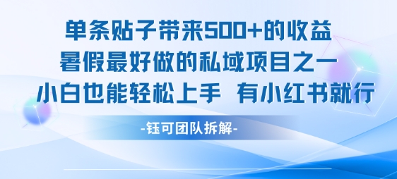 单条贴子带来5张的收益，暑假最好做的私域项目之一，小白也能轻松上手，有小红书就行-U9联盟