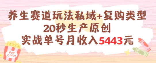 养生赛道玩法私域+复购类型，20秒生产原创实战单号月收入5k+-U9联盟