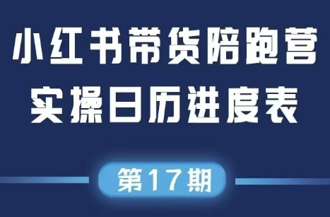 盗坤·抖音小红书视频号短视频带货与直播变现(11-17期)-U9联盟