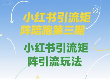 小红书引流矩阵陪跑第三期，小红书引流矩阵引流玩法-U9联盟