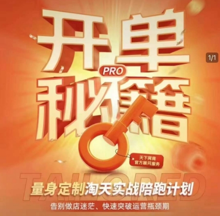 淘宝开单秘籍PRO，量身定制淘天实战陪跑计划，告别做店迷茫、快速突破运营瓶颈期(更新6月)-U9联盟