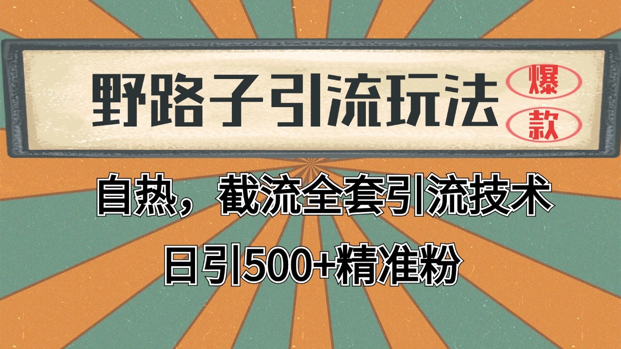 2024首发野路子引流玩法截流自热全平台打法，全自动引流【日引2000+精准客户】-U9联盟