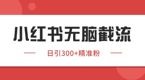 小红书截流同行客源，独家野路子获客玩法 日引200+暴力获客【揭秘】-U9联盟