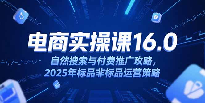 淘宝电商运营课16.0，自然搜索与付费推广攻略，2025年标品非标品运营策略-U9联盟