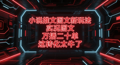小说推文图文新玩法，实况图文，万播二十单，这转化太牛了！-U9联盟