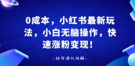 0成本，小红书最新玩法，小白无脑操作，快速涨粉变现-U9联盟