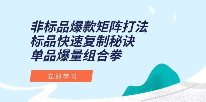 非标品爆款矩阵打法，标品快速复制秘诀，单品爆量组合拳-U9联盟