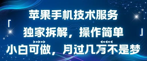 苹果手机技术服务，独家拆解，操作简单，小白可做，月过1W不是梦-U9联盟