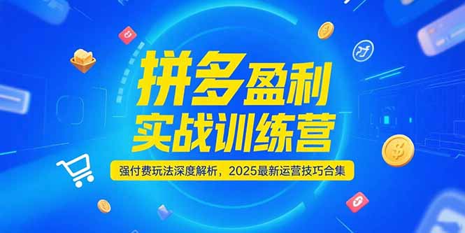 拼多多盈利实战训练营，强付费玩法深度解析，2025运营技巧合集-更新6月-U9联盟