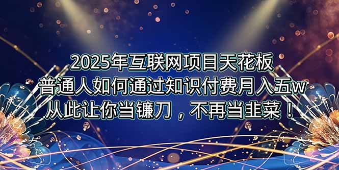2025年互联网项目天花板，普通人如何通过卖项目实现逆风翻盘，月入5W＋！-U9联盟