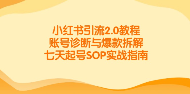 小红书引流2.0教程，账号诊断与爆款拆解，七天起号SOP实战指南-U9联盟