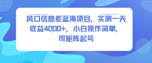 风口信息差蓝海项目，实测一天收益4k+，小白操作简单，可矩阵起号-U9联盟
