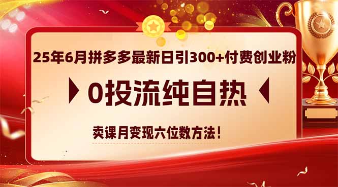 25年6月拼多多最新日引300+付费创业粉，0投流纯自热 卖课月变现六位数方法-U9联盟