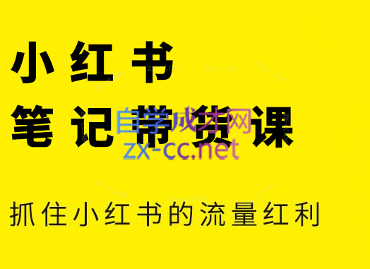 张宾·小红书笔记带货课(更新5月)-U9联盟